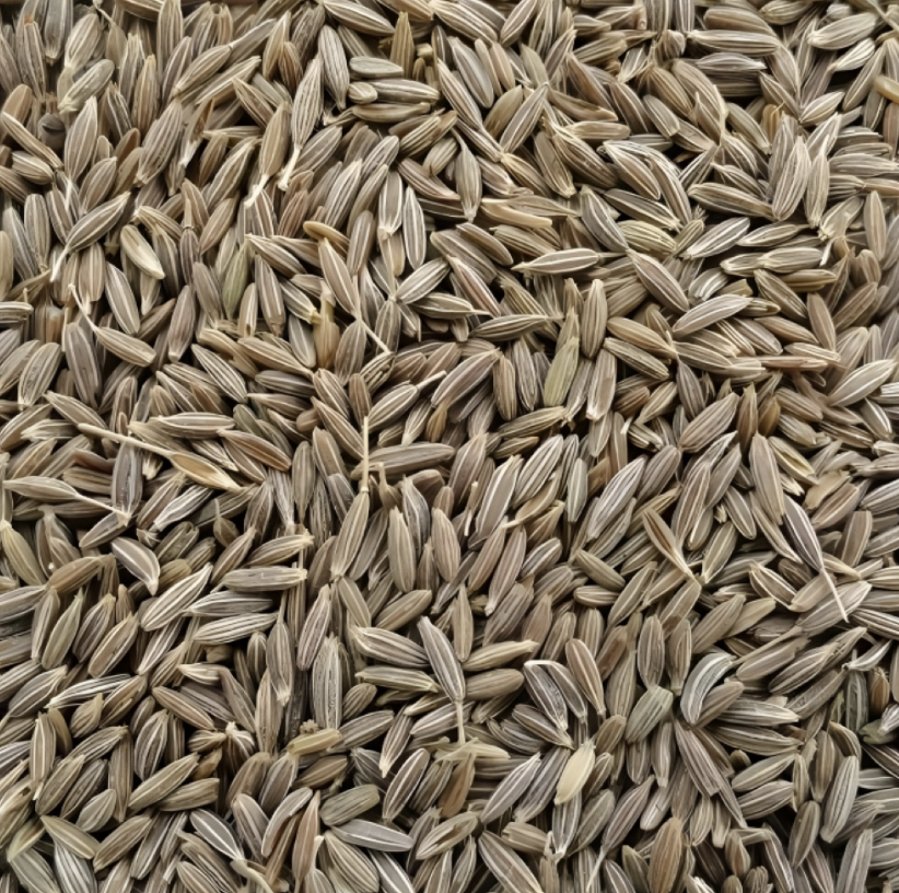 A pile of cumin seeds.