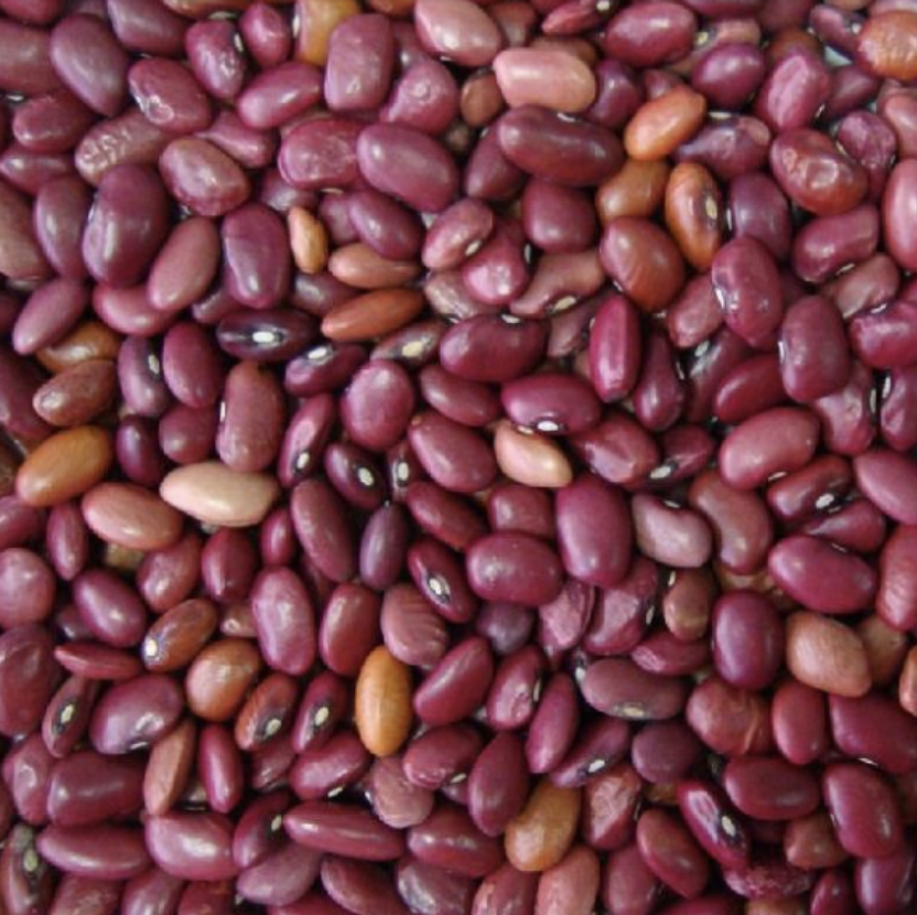 Red kidney beans in a bowl.